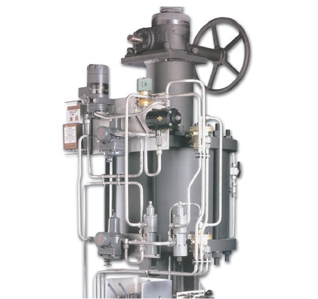 是在“一国两制”框架下